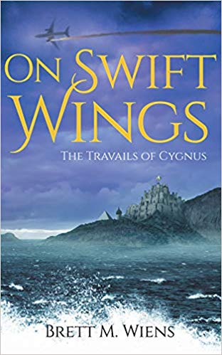 41VLhv9KerL._SX310_BO1,204,203,200_